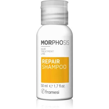 Framesi Morphosis Repair tápláló sampon a haj regenerálásáért és megerősítéséért 50 ml