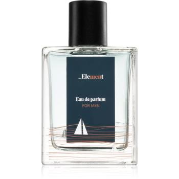 Vis Plantis Element Eau de Parfum uraknak 100 ml
