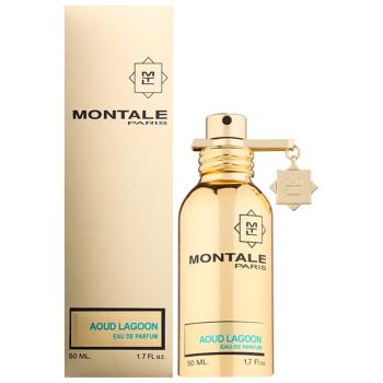 Montale Aoud Lagoon Eau de Parfum unisex 50 ml