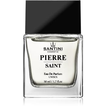 SANTINI Cosmetic Pierre Saint Eau de Parfum unisex 50 ml