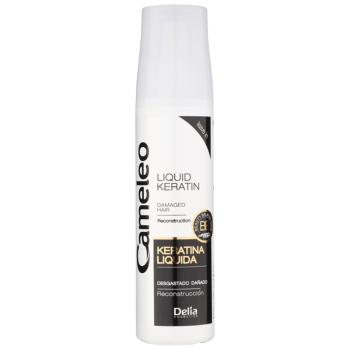 Delia Cosmetics Cameleo BB folyékony keratin spray formában a károsult hajra 150 ml