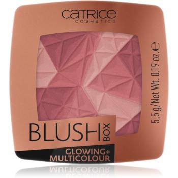 Catrice Blush Box Glowing + Multicolour élénkítő arcpirosító árnyalat 020 It's Wine O'clock 5.5 g