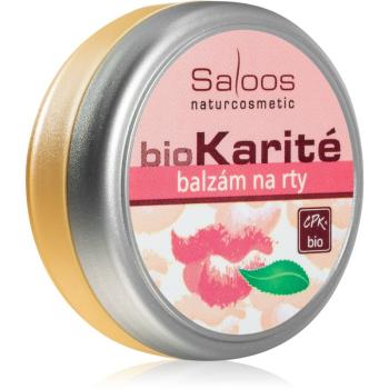 Saloos Bio Karité ajakbalzsam 19 ml