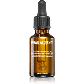 Grown Alchemist Activate intenzív antioxidáns olaj az arcra nappal és éjszaka vadrózsa és varjútövis 25 ml