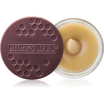 Burt’s Bees Lip Scrub szájpeeling tápláló hatással 7.08 g