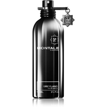 Montale Greyland Eau de Parfum unisex 100 ml