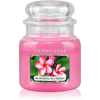 Country Candle Blooming Plumeria illatos gyertya 453 g