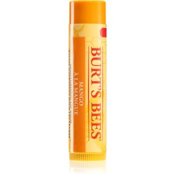 Burt’s Bees Lip Care tápláló szájbalzsam (with Mango Butter) 4,25 g