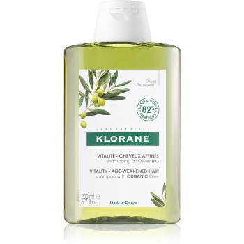 Klorane Organic Olive regeneráló sampon érett hajra 200 ml