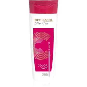 Dermacol Hair Care Color Save sampon a sérült festett hajra 250 ml