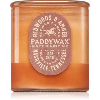 Paddywax Vista Redwoods & Amber illatos gyertya 340 g
