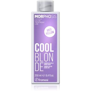 Framesi Morphosis Cool Blonde sampon a sárga tónusok neutralizálására a szőke hideg árnyalataiért 250 ml