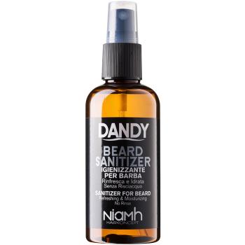 DANDY Beard Sanitizer öblítés nélküli tisztító spray 100 ml