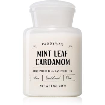 Paddywax Farmhouse Mint Leaf & Cardamom illatos gyertya (Apothecary) 226 g