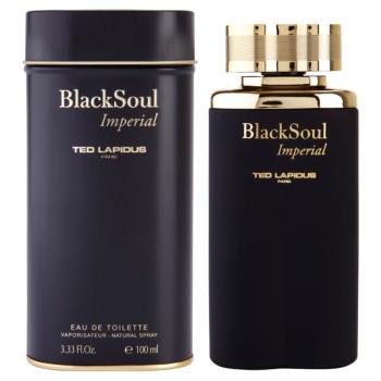 Ted Lapidus Black Soul Imperial Eau de Toilette uraknak 100 ml