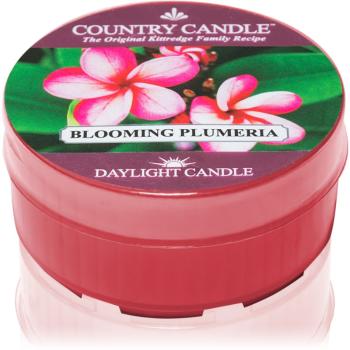 Country Candle Blooming Plumeria teamécses 42 g