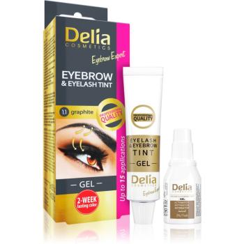 Delia Cosmetics Eyebrow Expert szemöldök- és szempilla festék aktivátorral árnyalat 1.1. Graphite 2 x 15 ml