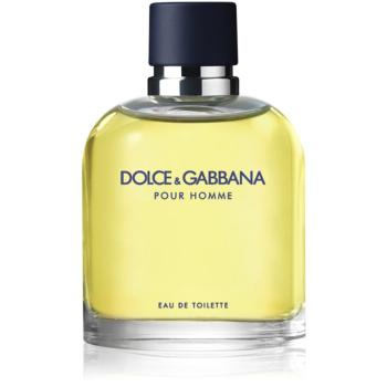 Dolce & Gabbana Pour Homme Eau de Toilette uraknak 200 ml