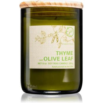 Paddywax Eco Green Thyme & Olive Leaf illatos gyertya 226 g