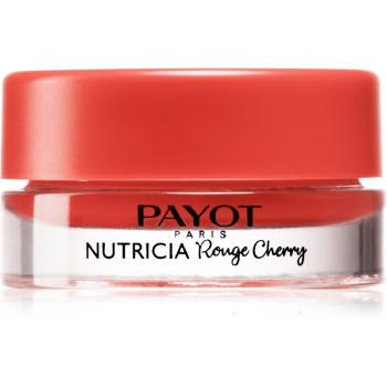 Payot Nutricia Rouge Cherry intenzív tápláló balzsam az ajkakra árnyalat Rouge Cherry 6 g