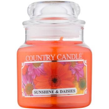 Country Candle Sunshine & Daisies illatos gyertya 104 ml