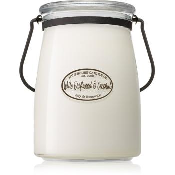 Milkhouse Candle Co. Creamery White Driftwood & Coconut illatos gyertya Butter Jar 624 g