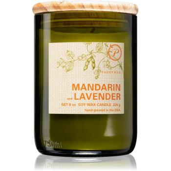 Paddywax Eco Green Mandarin & Lavender illatos gyertya 226 g
