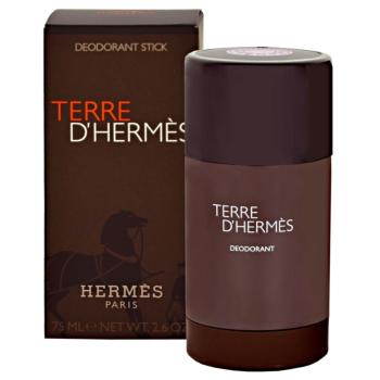 Hermès Terre d’Hermès stift dezodor uraknak 75 ml