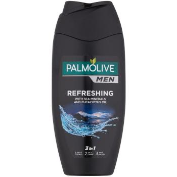Palmolive Men Refreshing fürdőgél férfiaknak 3 az 1-ben 250 ml