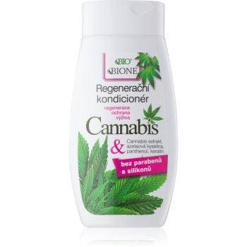 Bione Cosmetics Cannabis regeneráló kondicionáló 260 ml