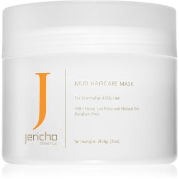 Jericho Hair Care iszap maszk hajra a zsíros és irritált fejbőrre 200 ml