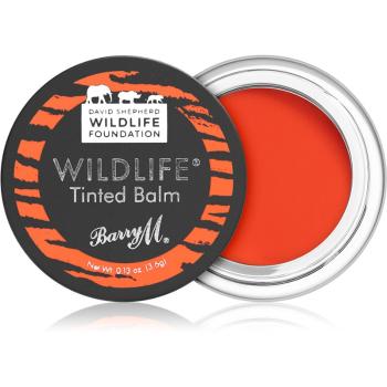 Barry M Wildlife tonizáló ajakbalzsam árnyalat Untamed Red 3.6 g