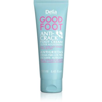 Delia Cosmetics Good Foot Anti Crack tápláló krém lábakra 250 ml
