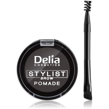 Delia Cosmetics Eyebrow Expert szemöldök pomádé árnyalat Graphite