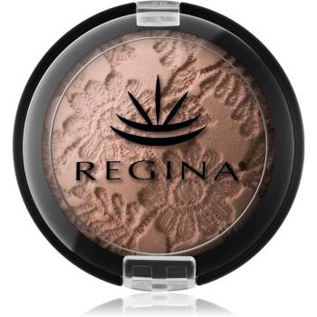 Regina Colors világosító púder 10 g