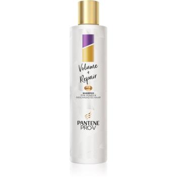 Pantene Volume + Repair tömegnövelő sampon a selymes hajért 250 ml