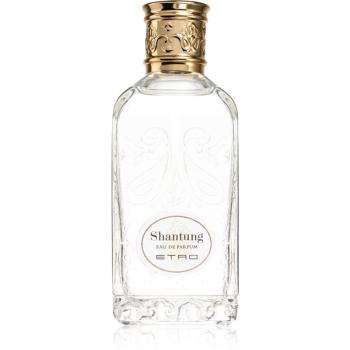 Etro Shantung Eau de Parfum unisex 100 ml
