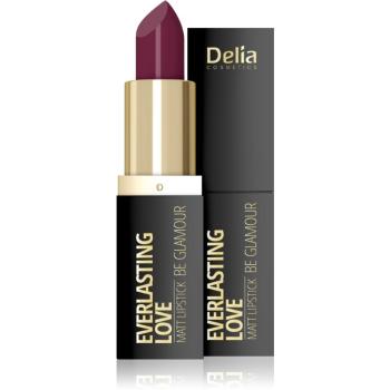 Delia Cosmetics Everlasting Love Be Glamour mattító rúzs árnyalat 308 cute 4 g