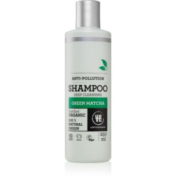 Urtekram Green Matcha hajsampon mélytisztításhoz 250 ml