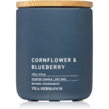 Vila Hermanos Concrete Cornflower & Blueberry illatos gyertya 120 g