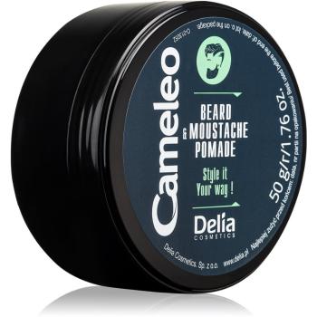 Delia Cosmetics Cameleo Men viasz a szakállra 50 g