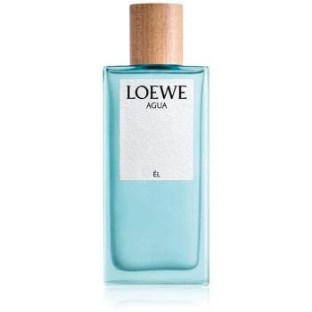 Loewe Agua Él Eau de Toilette uraknak 100 ml