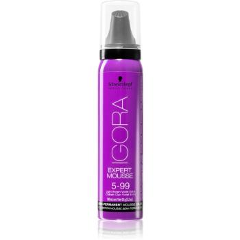 Schwarzkopf Professional IGORA Expert Mousse színező hab hajra árnyalat 5-99 Light Brown Violet Extra 100 ml