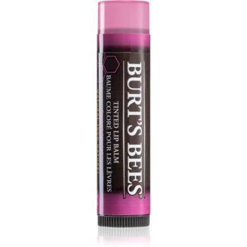 Burt’s Bees Tinted Lip Balm ajakbalzsam árnyalat Sweet Violet 4.25 g
