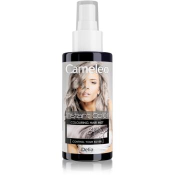 Delia Cosmetics Cameleo Instant Color színező hajfesték spray -ben árnyalat Control Your Silver 150 ml