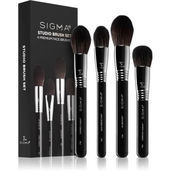 Sigma Beauty Studio Brush Set ecset szett (hölgyeknek)