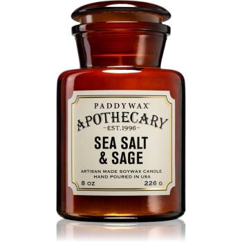 Paddywax Apothecary Sea Salt & Sage illatos gyertya 226 g