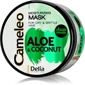 Delia Cosmetics Cameleo Aloe & Coconut hidratáló maszk száraz és törékeny hajra 200 ml