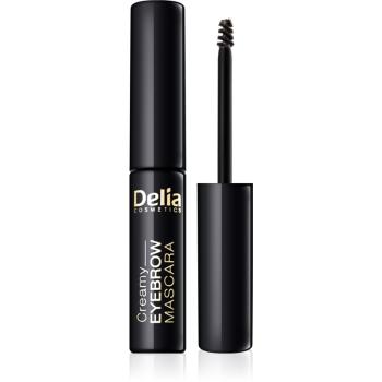 Delia Cosmetics Eyebrow Expert szemöldök és szempillaspirál árnyalat Graphite 4 ml