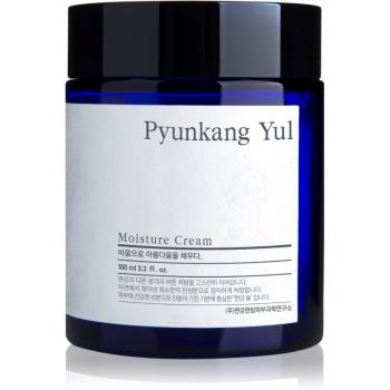 Pyunkang Yul Moisture Cream hidratáló arckrém 100 ml